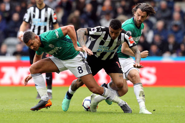 台中的冷静 台中的冷静